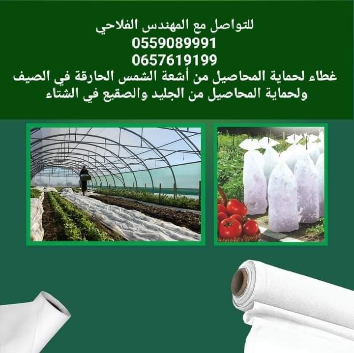 غطاء النباتات الأبيض. Cover plant