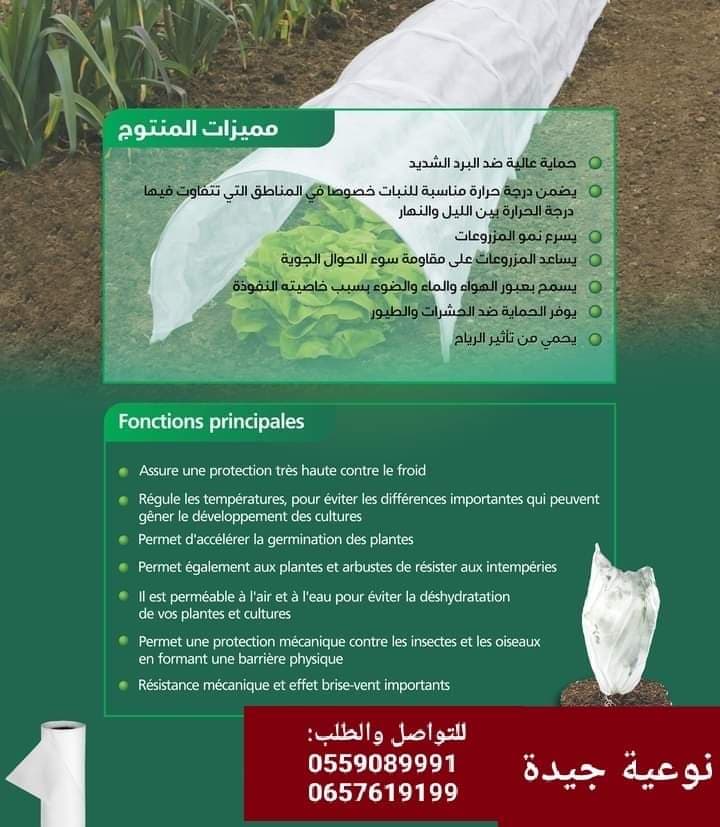 غطاء النباتات الأبيض. Cover plant