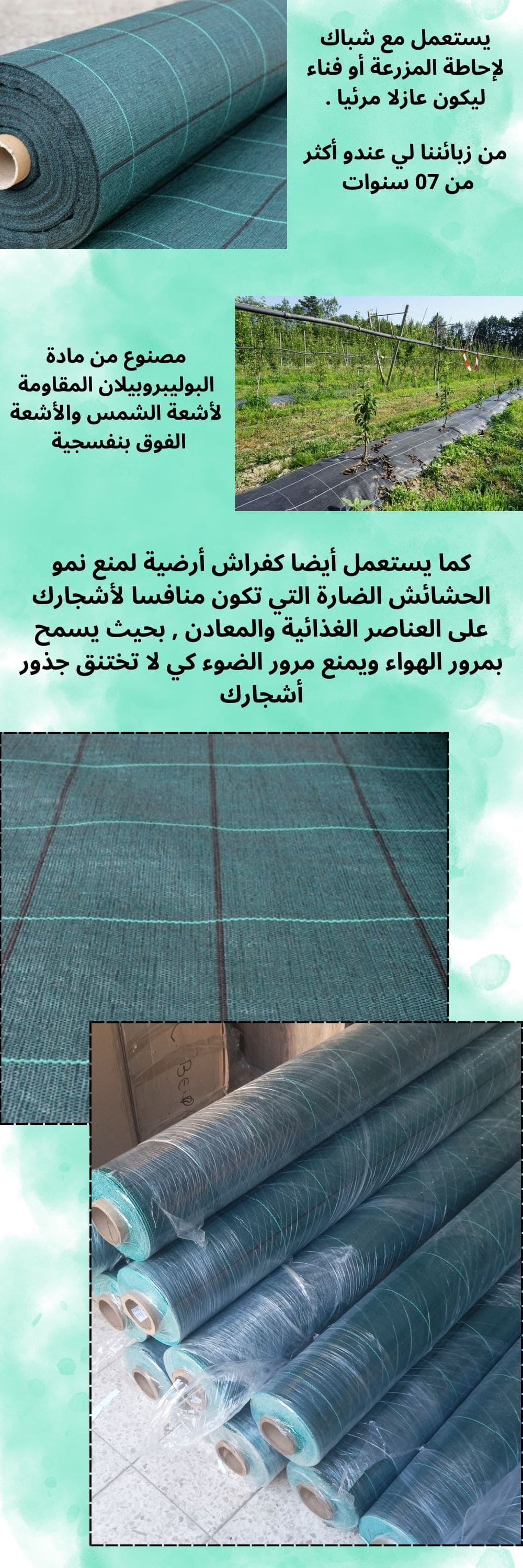  Brise vue de la Clôture vert espagnol