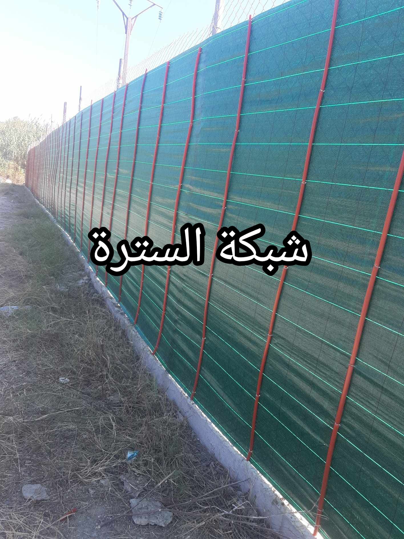  Brise vue de la Clôture vert espagnol