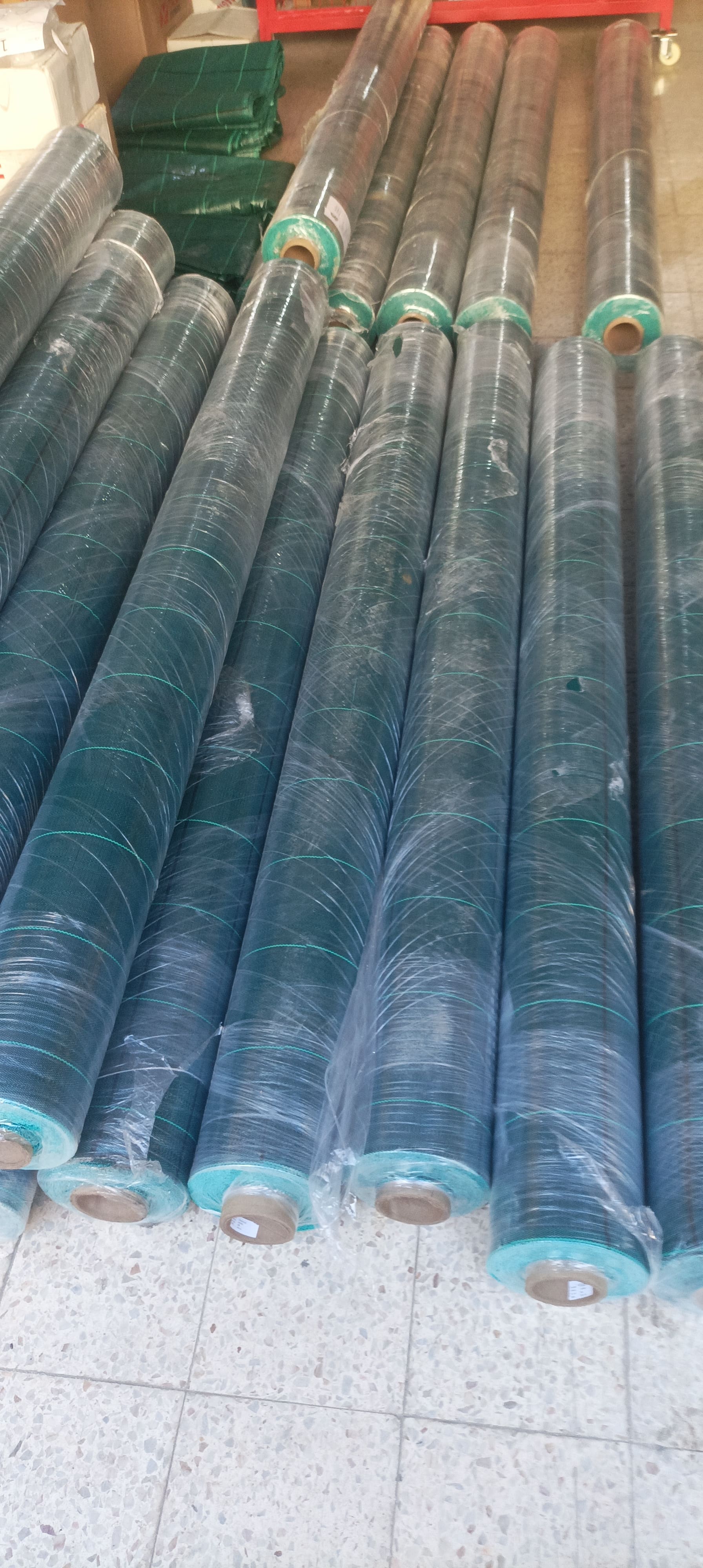  Brise vue de la Clôture vert espagnol