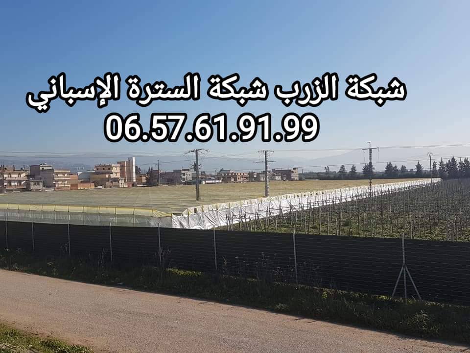  Brise vue de la Clôture vert espagnol