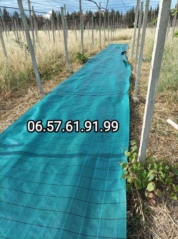  Brise vue de la Clôture vert espagnol