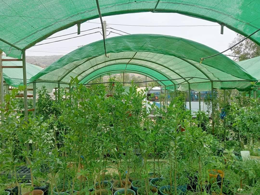 Filet d'ombrage vert espagnol  %80 