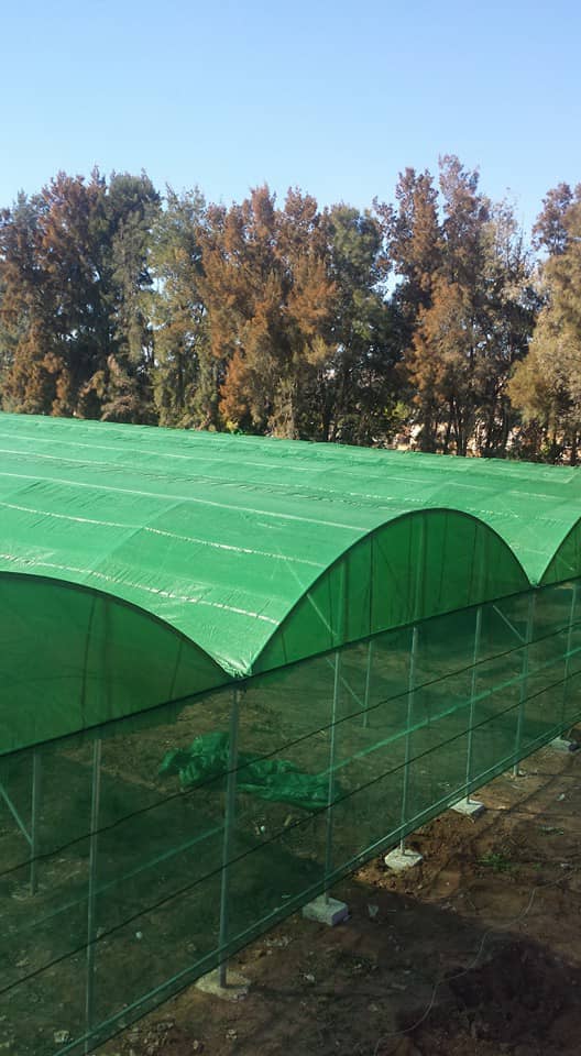 Filet d'ombrage vert espagnol  %80 