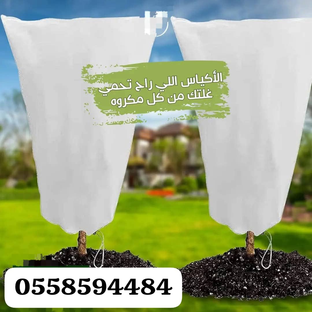 غطاء الأشجار الأبيض 