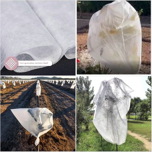 غطاء الأشجار الأبيض  image