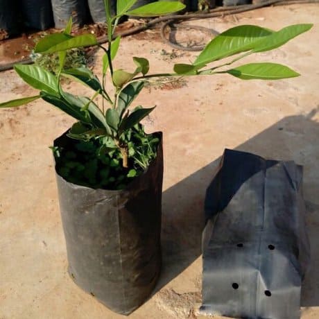 طاقم البستنة Pack 490 