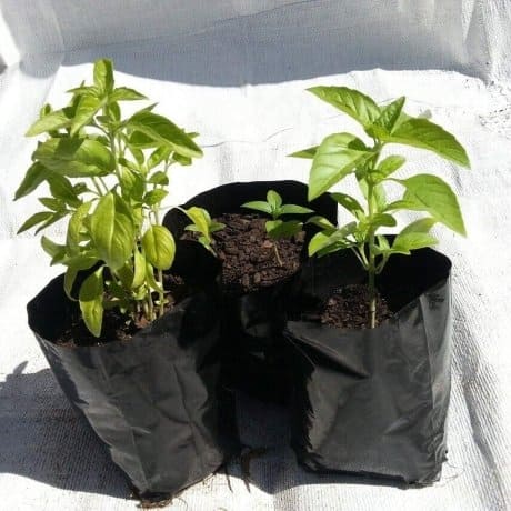 طاقم البستنة Pack 490 