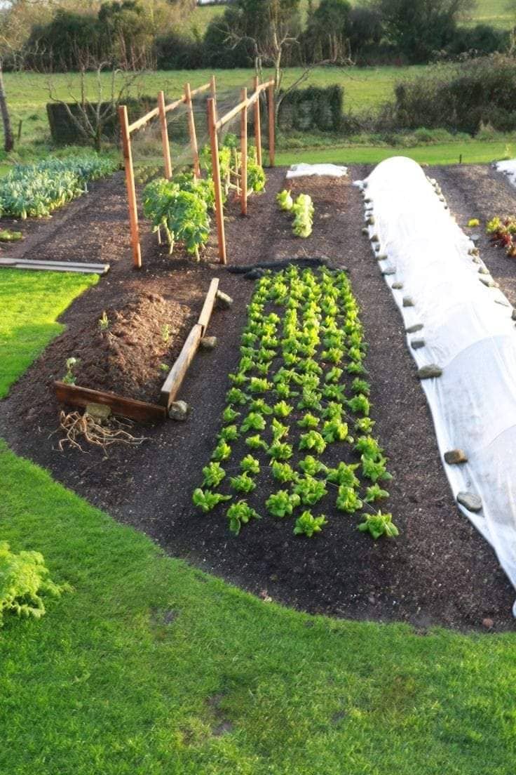 طاقم البستنة Pack 490 