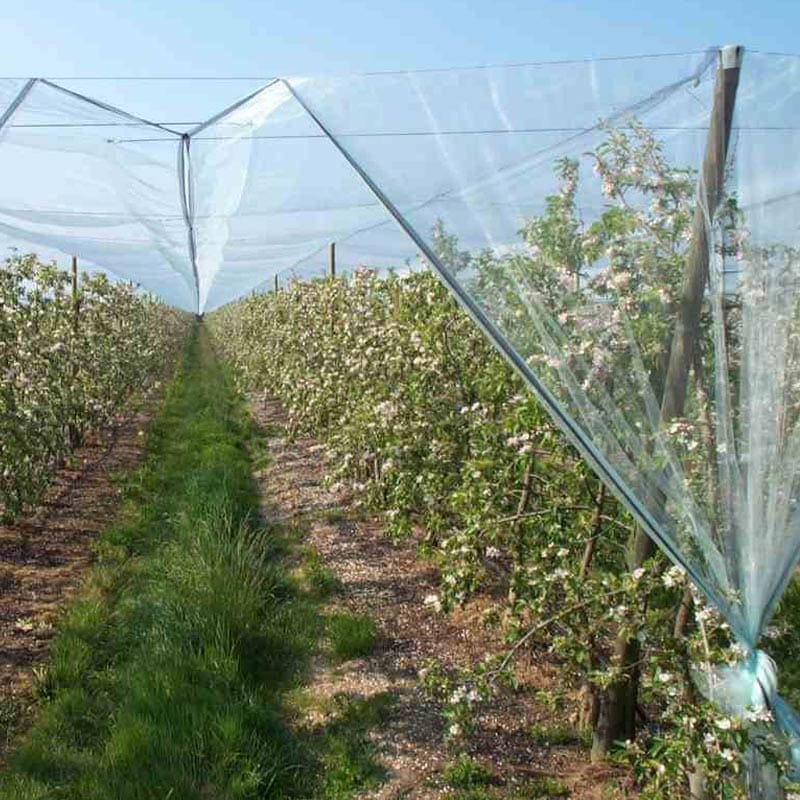  Filet anti grêle anti oiseaux ضد الطيور وحبات البرد 