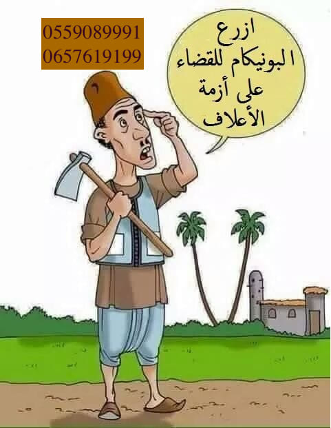 بذور البونيكام الإفريقي -تنزانيا-