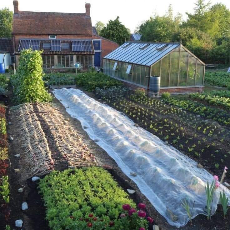 الشاش الزراعي غطاء النباتات الأبيض.