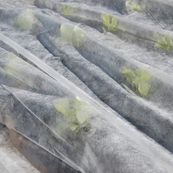 الشاش الزراعي غطاء النباتات الأبيض.