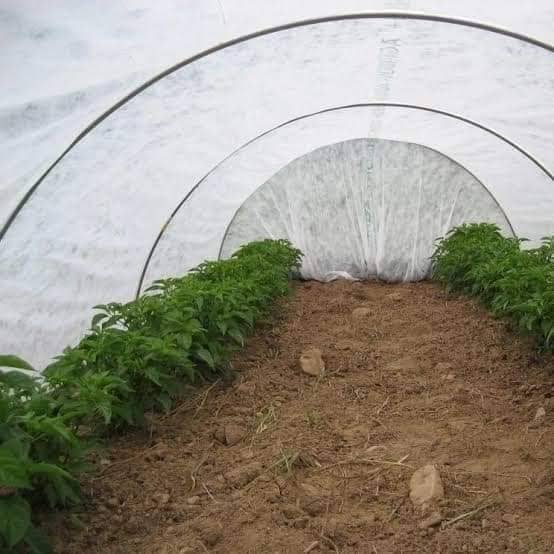 الشاش الزراعي غطاء النباتات الأبيض.