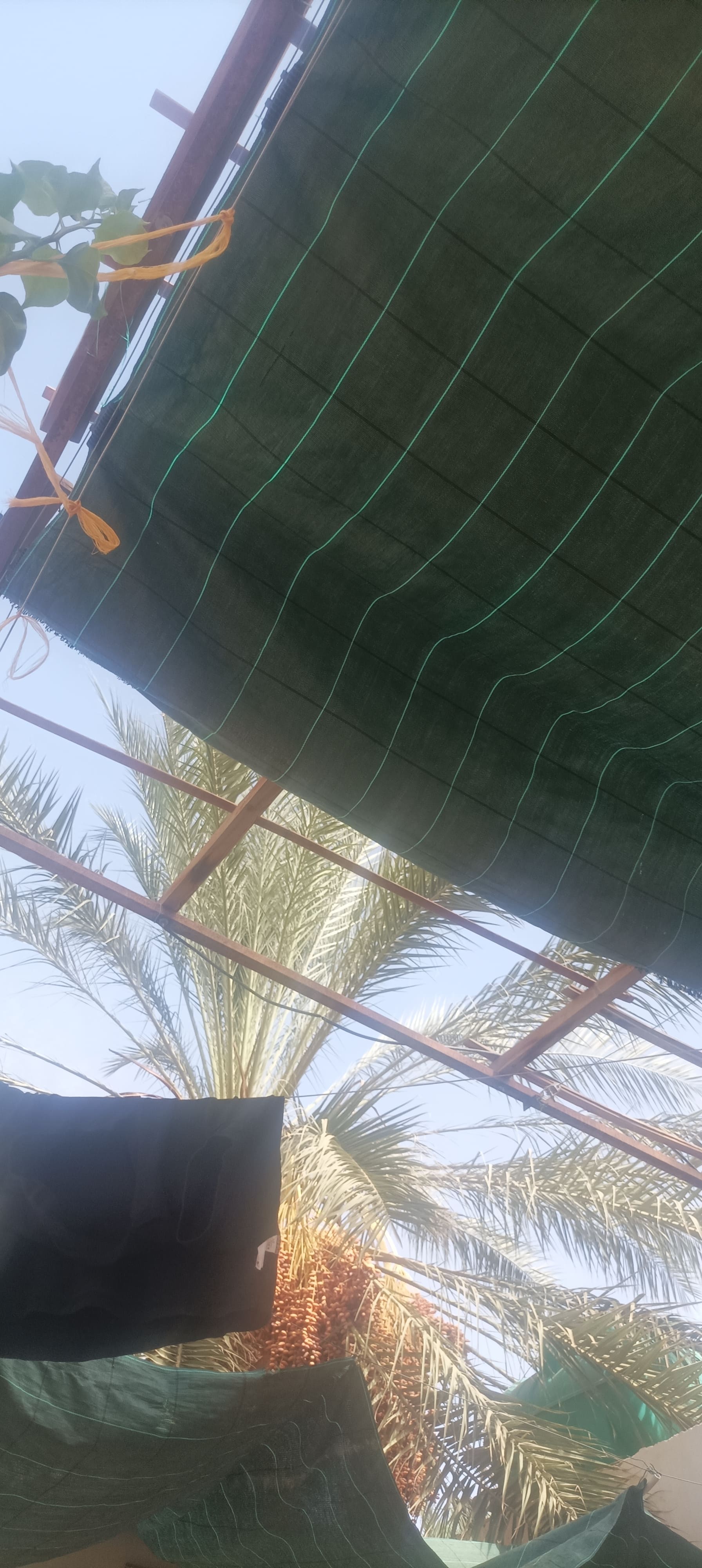 باش الحماية الإسباني