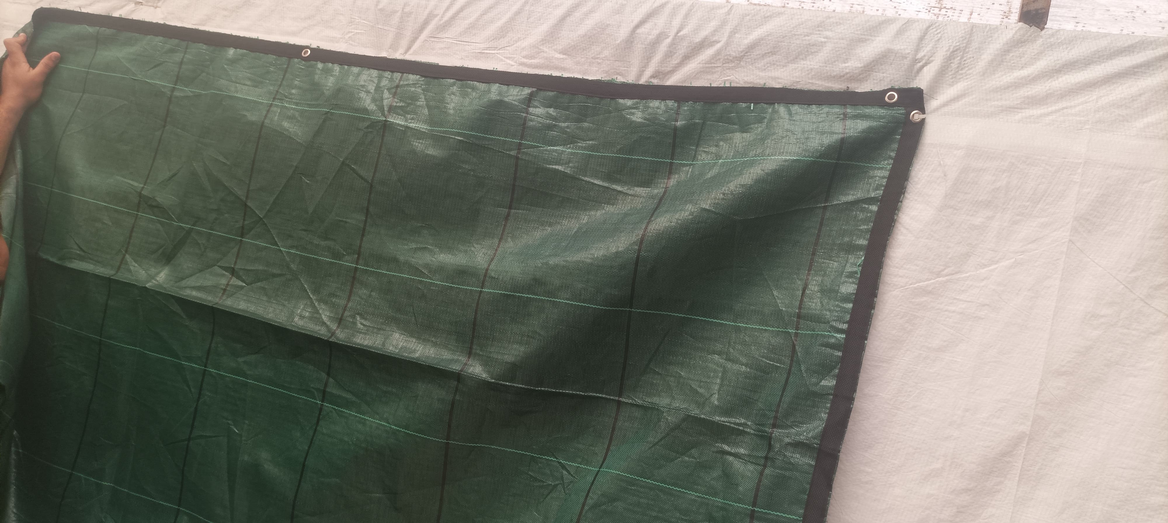 باش الحماية الإسباني