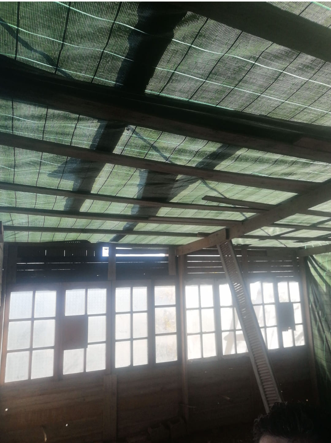 باش الحماية الإسباني