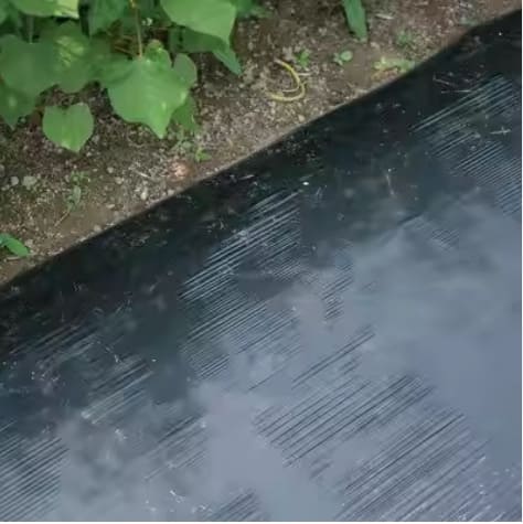 غطاء ضد الأعشاب الضارة  مناسب للنباتات الموسمية 