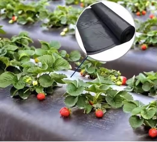 غطاء ضد الأعشاب الضارة  مناسب للنباتات الموسمية  image