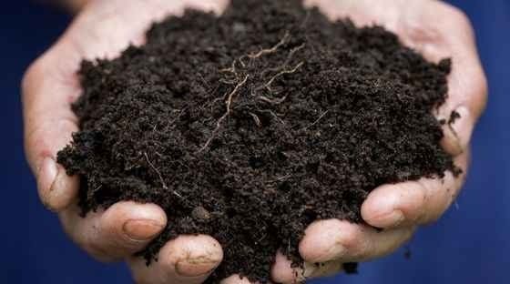 Vermicompost مخصب عضوي للتربة 