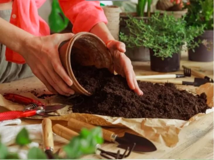Vermicompost مخصب عضوي للتربة 