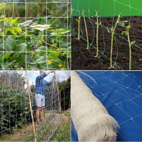 Filet a ramer شبكة التسلق للنباتات image